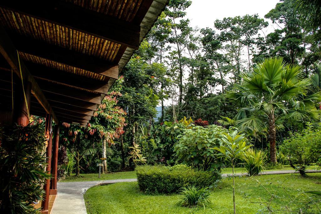 Catarata Eco
