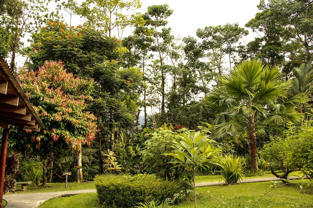 Catarata Eco Lodge