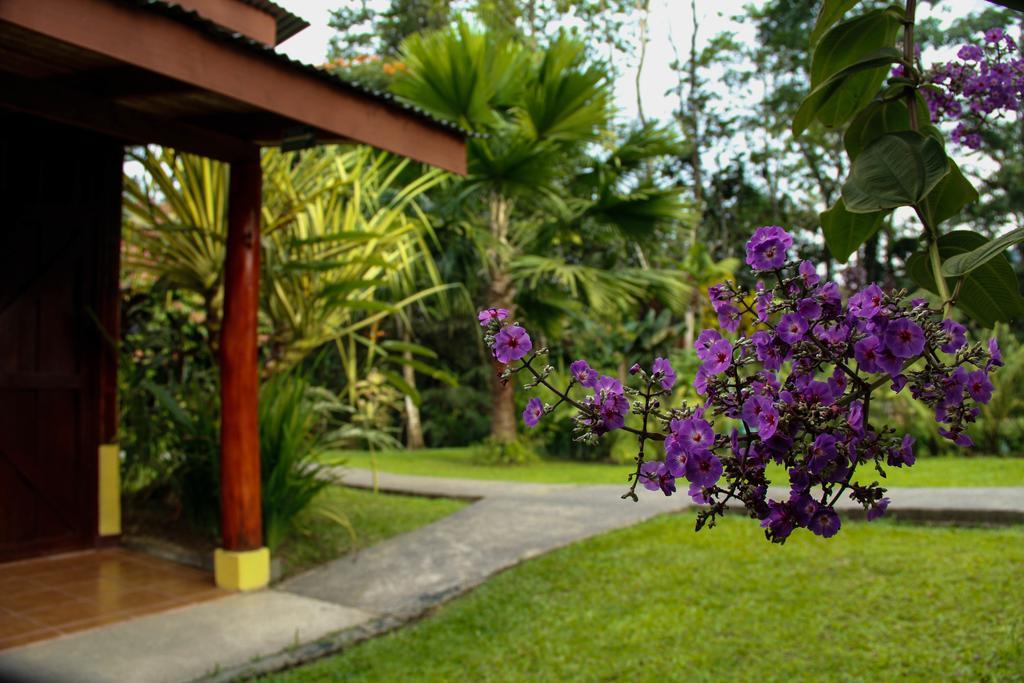 Lodge Catarata Eco