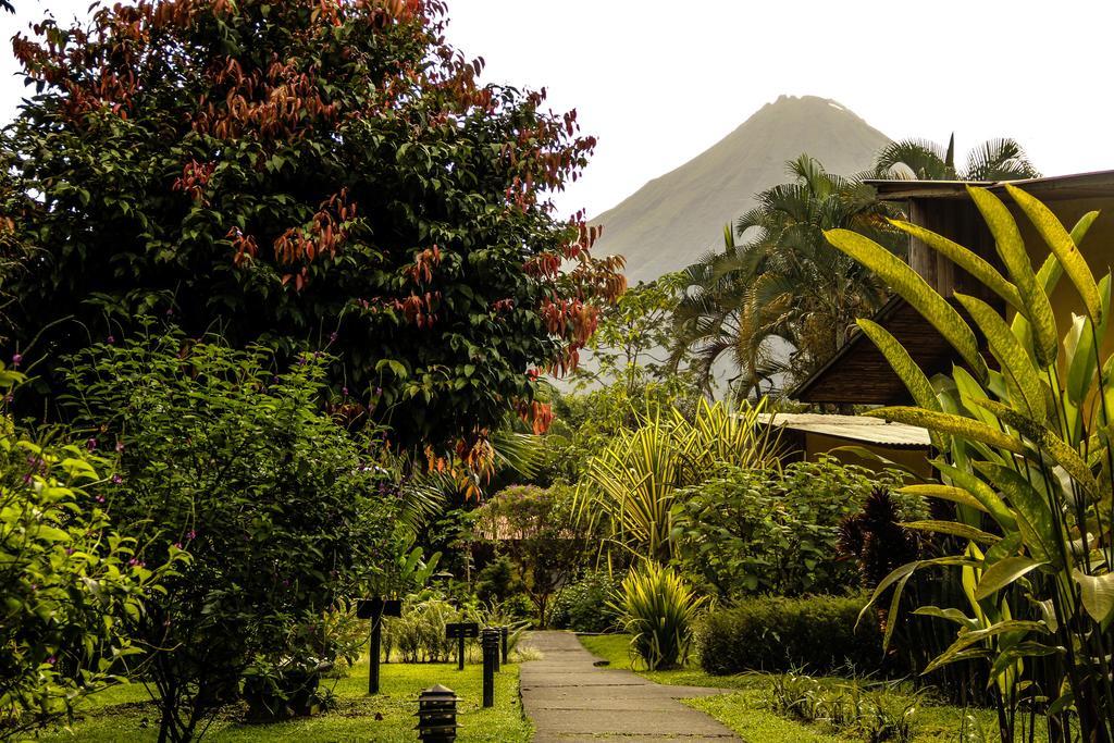 Catarata Eco *