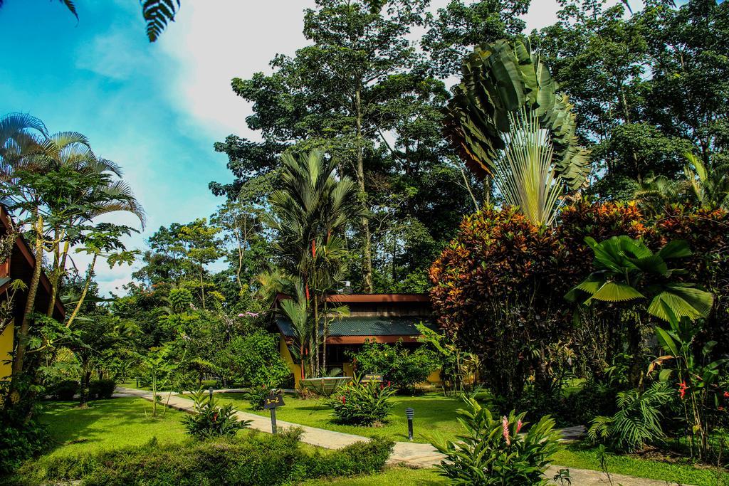 Catarata Eco * La Fortuna